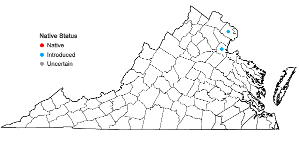 Locations ofLysimachia vulgaris L in Virginia