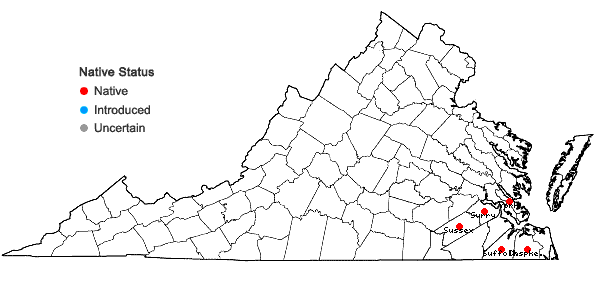 Locations ofLythrum lanceolatum Elliott in Virginia