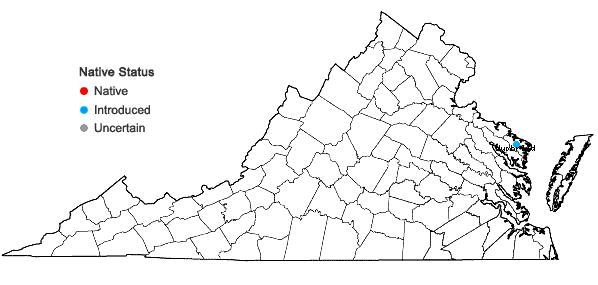 Locations ofLythrum portula (L.) D.A. Webb in Virginia