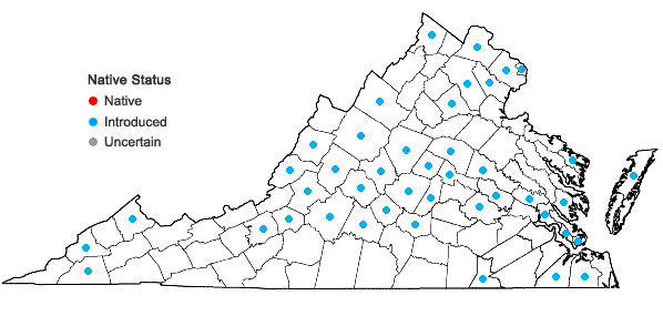 Locations ofLythrum salicaria L. in Virginia