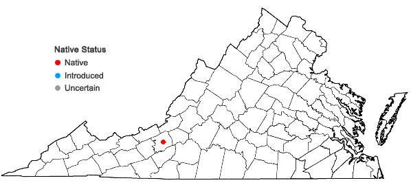 Locations ofMInuartia godfreyi (Shinners) McNeill in Virginia
