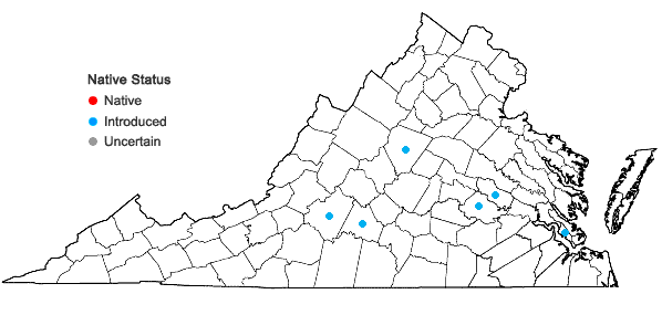Locations ofMacleaya cordata (Willd.) R. Brown in Virginia