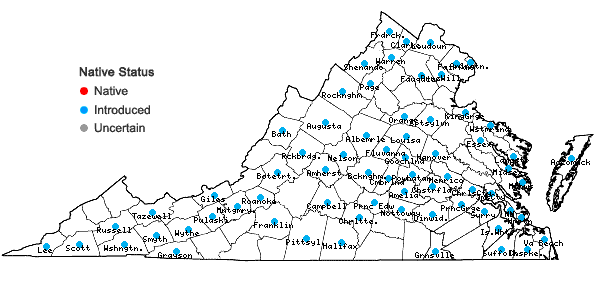 Locations ofMaclura pomifera (Raf.) Schneid. in Virginia