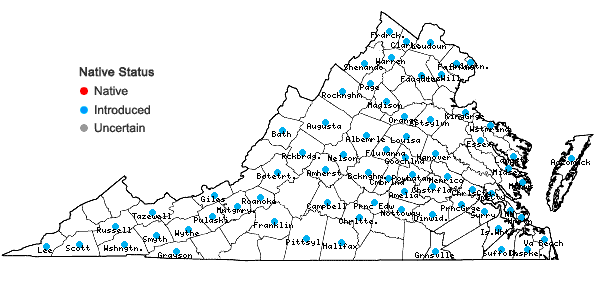 Locations ofMaclura pomifera (Raf.) Schneid. in Virginia