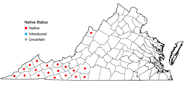 Locations ofMagnolia fraseri Walt. in Virginia