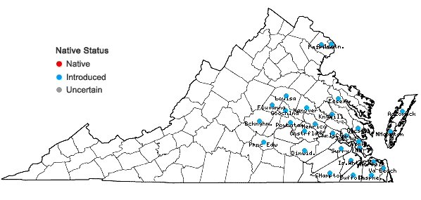 Locations ofMagnolia grandiflora L. in Virginia