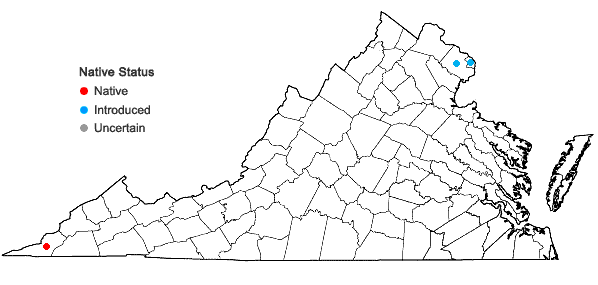 Locations ofMagnolia macrophylla Michx. in Virginia