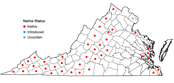 Locations ofMagnolia tripetala (L.) L. in Virginia