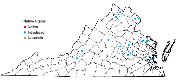 Locations ofMahonia bealei (Fortune) Carr. in Virginia