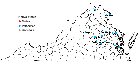 Locations ofMahonia bealei (Fortune) Carr. in Virginia