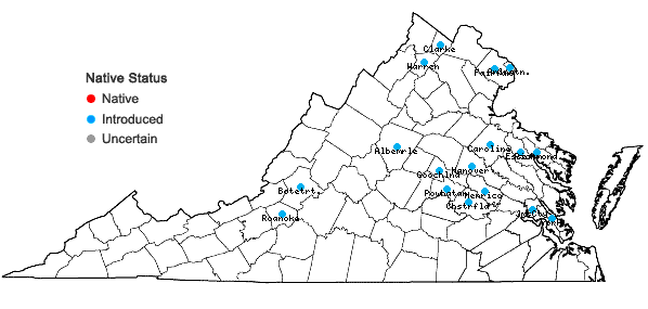 Locations ofMahonia bealei (Fortune) Carr. in Virginia