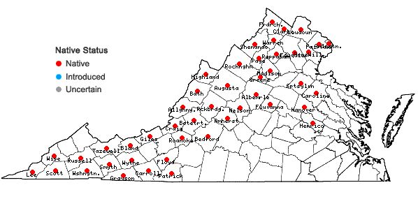 Locations ofMaianthemum canadense Desf. in Virginia