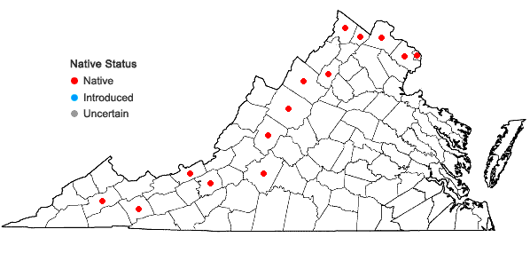 Locations ofMaianthemum stellatum (L.) Link in Virginia