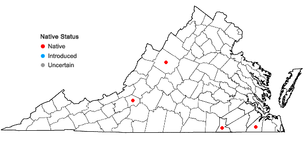Locations ofMalaxis bayardii Fern. in Virginia