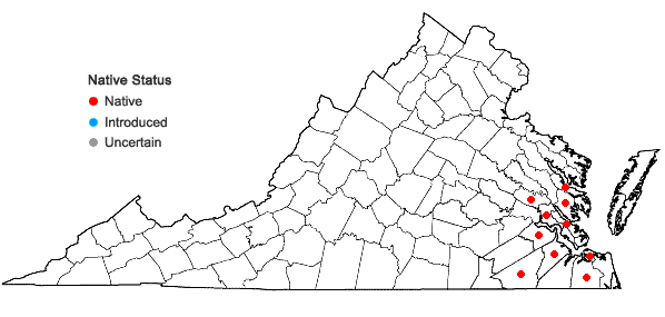 Locations ofMalaxis spicata Swartz in Virginia