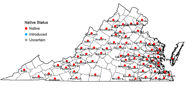 Locations ofMalaxis unifolia Michaux in Virginia