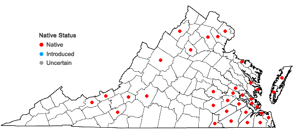 Locations ofMalus angustifolia (Aiton) Michx. in Virginia