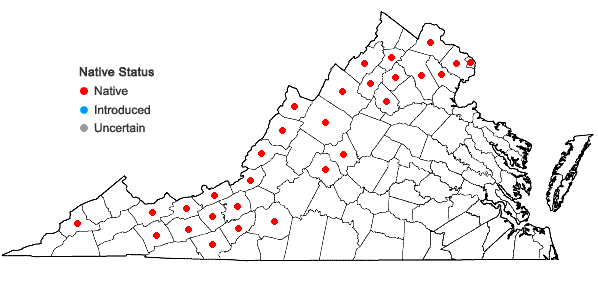 Locations ofMalus coronaria (L.) P. Mill. in Virginia