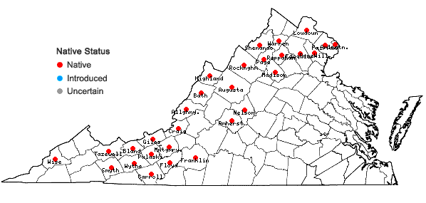 Locations ofMalus coronaria (L.) P. Mill. in Virginia