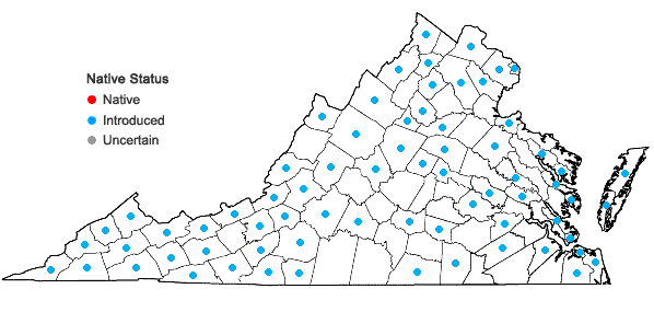 Locations ofMalus domestica (Suckow) Borkh. in Virginia