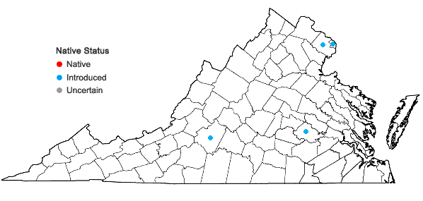 Locations ofMalus floribunda Sieb. ex Van Houtte in Virginia