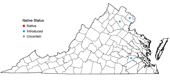 Locations ofMalus prunifolia (Willd.) Borkh. in Virginia