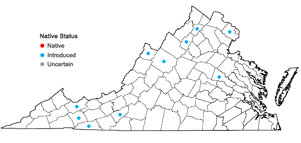 Locations ofMalva moschata L. in Virginia