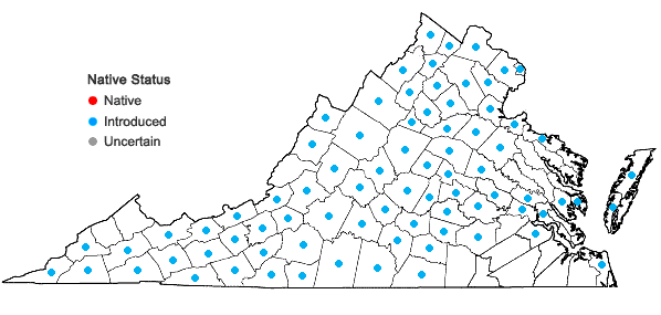Locations ofMalva neglecta Wallroth in Virginia
