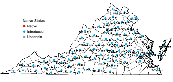 Locations ofMalva neglecta Wallroth in Virginia