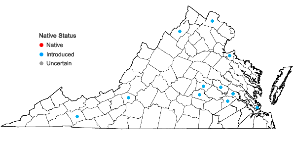 Locations ofMalva sylvestris L. in Virginia