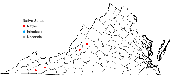 Locations ofMarchantia quadrata Scop. in Virginia