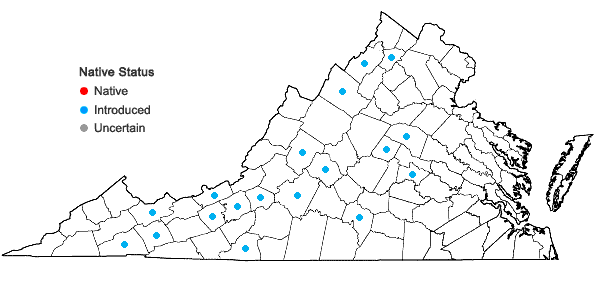 Locations ofMarrubium vulgare L. in Virginia