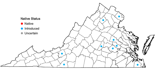 Locations ofMarsilea mutica Mettenius in Virginia
