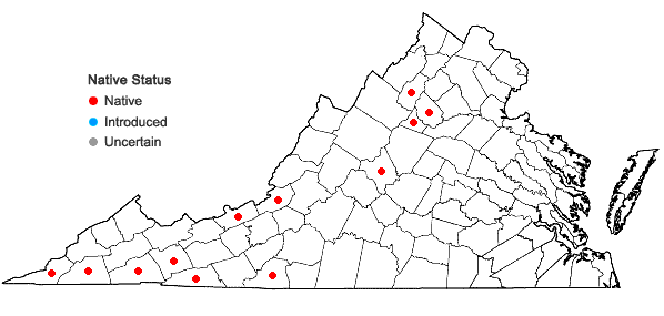 Locations ofMarsupella emarginata (Ehrh.) Dumort. in Virginia