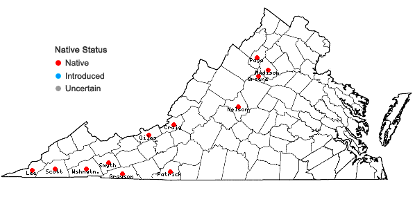 Locations ofMarsupella emarginata (Ehrh.) Dumort. in Virginia