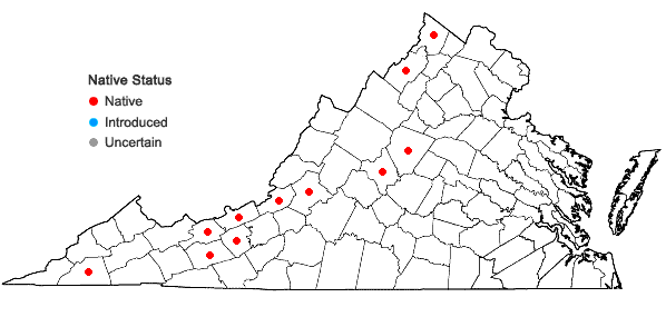 Locations ofMarsupella sphacelata (Giesecke ex Lindenb.) Dumort. in Virginia