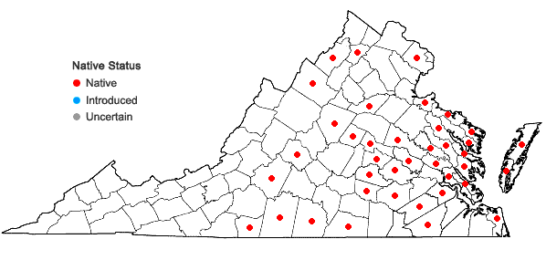 Locations ofMatelea carolinensis (Jacq.) Woods. in Virginia