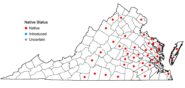 Locations ofMatelea carolinensis (Jacq.) Woods. in Virginia