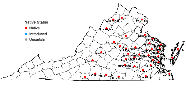 Locations ofMatelea carolinensis (Jacq.) Woods. in Virginia