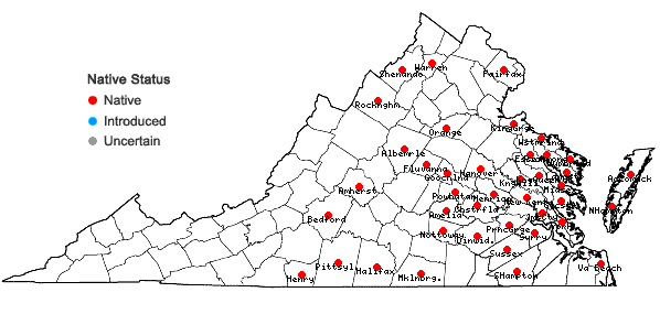 Locations ofMatelea carolinensis (Jacq.) Woods. in Virginia