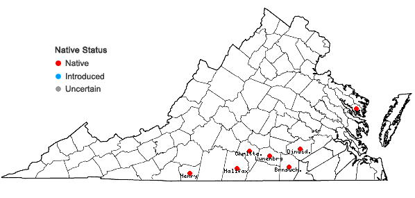 Locations ofMatelea decipiens (Alexander) Woods. in Virginia