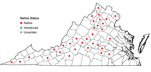 Locations ofMatelea obliqua (Jacq.) Woods. in Virginia