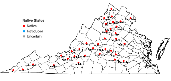 Locations ofMatelea obliqua (Jacq.) Woods. in Virginia
