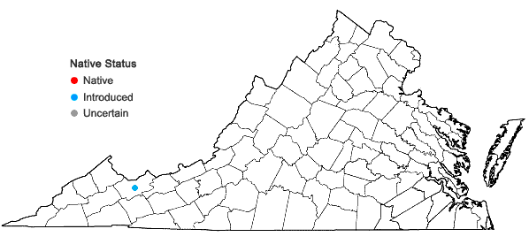Locations ofMedicago falcata L. in Virginia