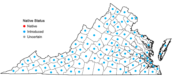 Locations ofMedicago lupulina L. in Virginia