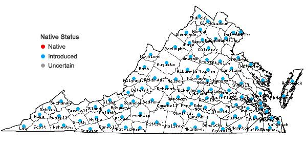 Locations ofMedicago lupulina L. in Virginia