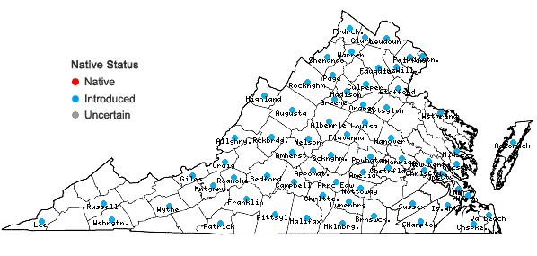 Locations ofMedicago sativa L. in Virginia