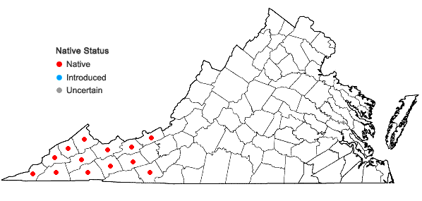 Locations ofMeehania cordata (Nutt.) Britt. in Virginia