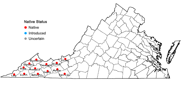 Locations ofMeehania cordata (Nutt.) Britt. in Virginia