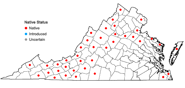 Locations ofMelampyrum lineare Desr. in Virginia